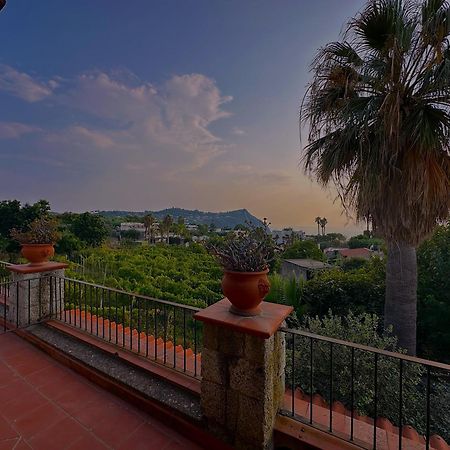 מלון Forio di Ischia Il Vitigno Di Dioniso מראה חיצוני תמונה