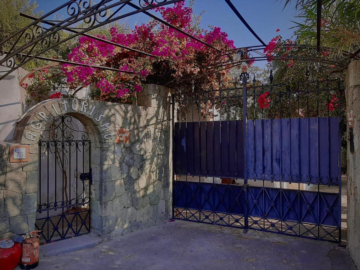 מלון Forio di Ischia Il Vitigno Di Dioniso מראה חיצוני תמונה