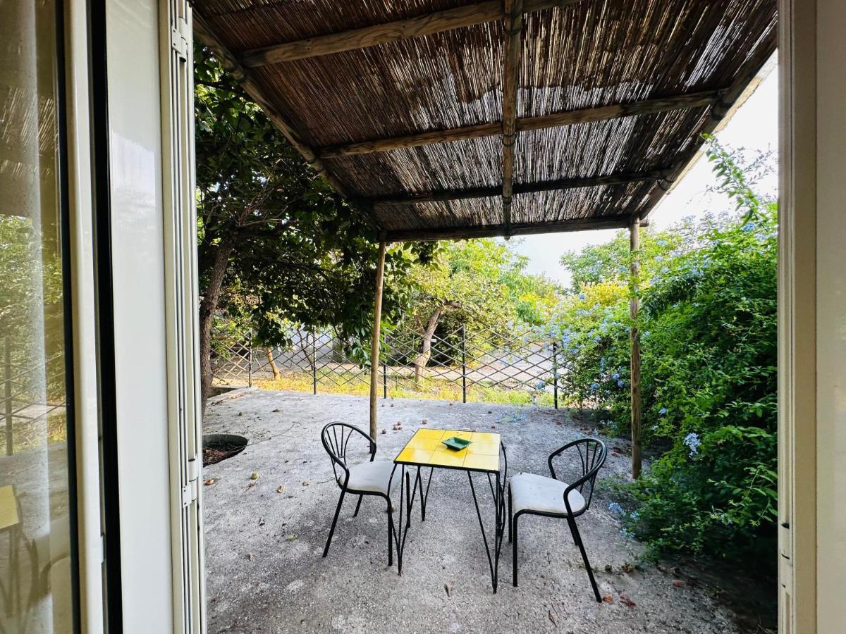 מלון Forio di Ischia Il Vitigno Di Dioniso מראה חיצוני תמונה